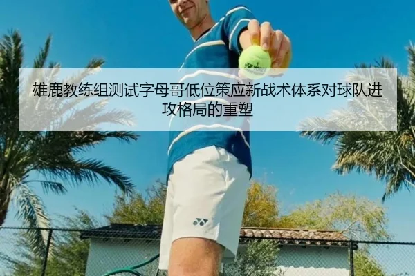 雄鹿教练组测试字母哥低位策应新战术体系对球队进攻格局的重塑
