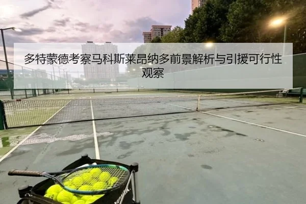 多特蒙德考察马科斯莱昂纳多前景解析与引援可行性观察